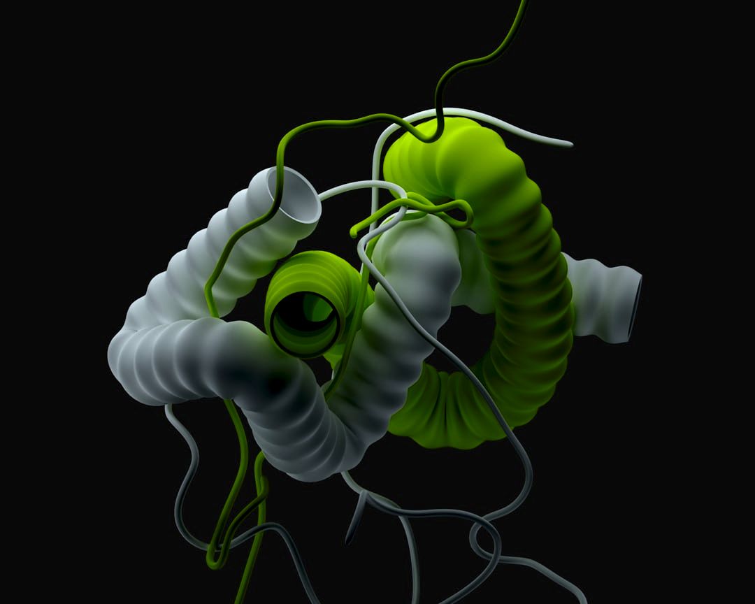 The Intersection of Creativity and Functionality in Link-in-Bio Design